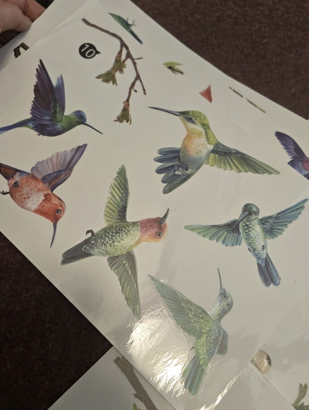 Bird & Branch Vinyl Window Clings Reusable No Adhesive - Picture 6 of 11